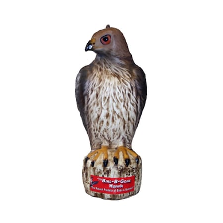 Vortex Bird B Gone Hawk Decoy VO2523183